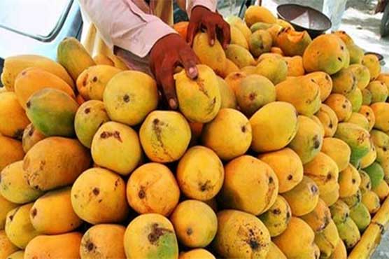 Amazing health benefit of mangoes found