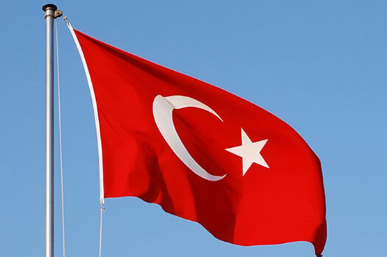 Turkey protests to Germany over 'kill dictatorship' installation