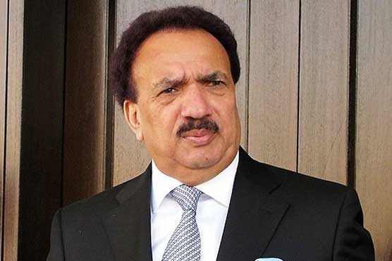JIT remarks damaged my reputation, says Rehman Malik