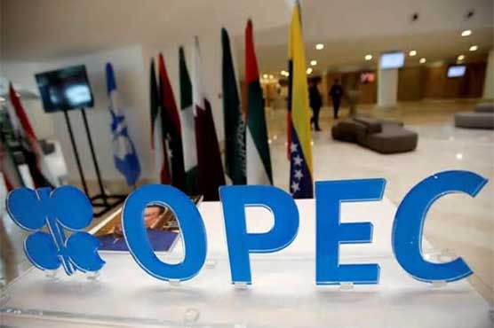OPEC: Can it ride out the storm?
