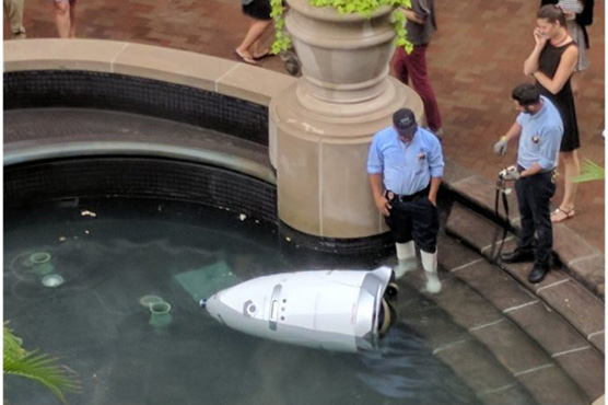 Robopocalypse: Suicidal security robot drowns itself into pond