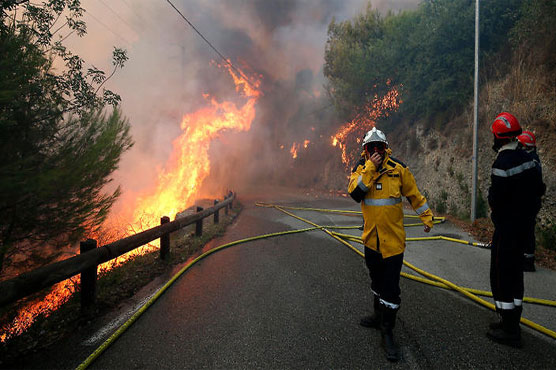 Hundreds battle wild fires across southern France