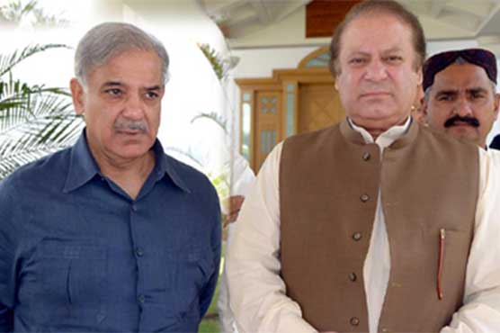 59pc Pakistanis think Shehbaz is substitute for Nawaz: Gallup