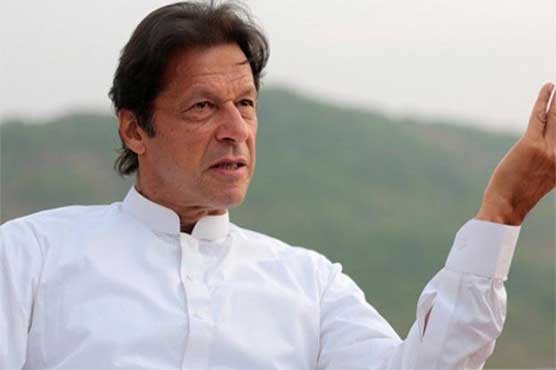 Imran did not have any source of income besides cricket, lawyer tells SC