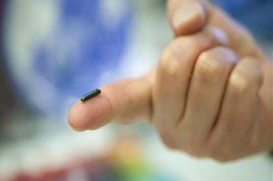 Would you do it? US tech company to microchip employees