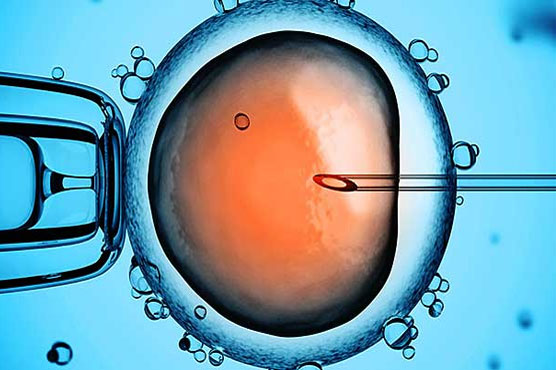 Researchers use gene editing on human embryo for first time in US