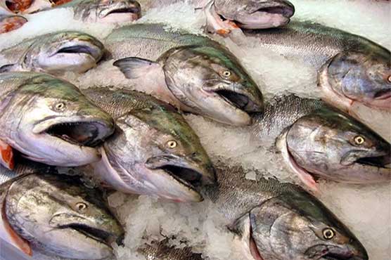 Fisheries exports contribute $276.269 mn to national kitty
