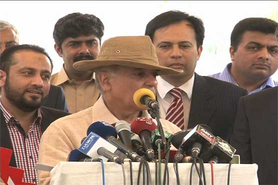 To act out of vengeance not justice: CM Shehbaz