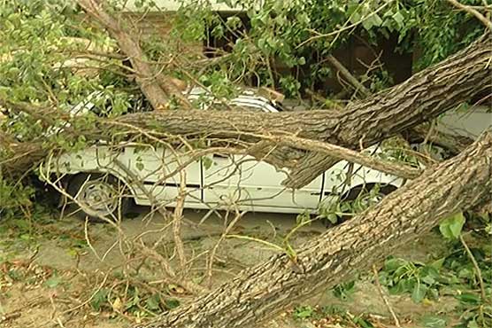 Twin cities bear damages as windstorm hits 