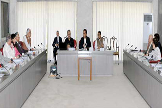 Committee recommends non-partisanship in Saudi-Qatar row