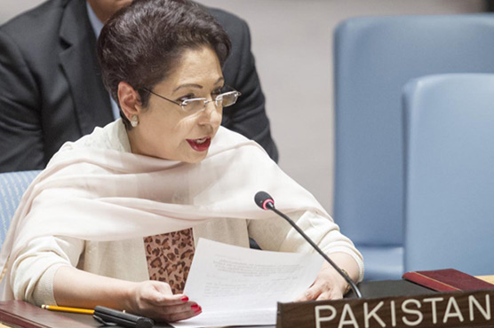 'Safe havens' are inside Afghanistan, not outside: Pakistan tells UNSC
