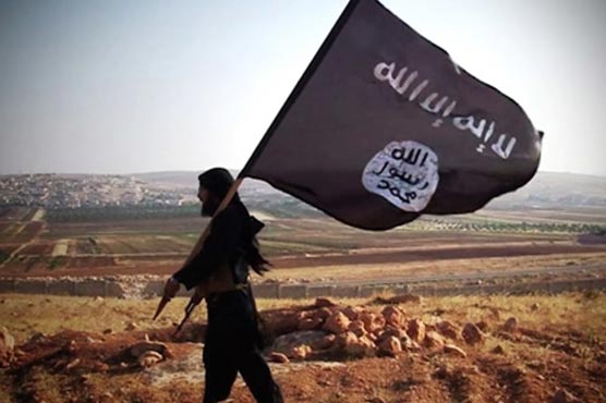 IS has lost 60% of territory, 80% of revenue: analysts