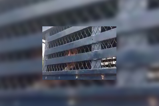 'Broken' Dasti pleads for suo moto notice of 'torture'