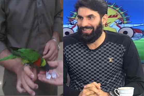 PSL final: Misbah didn't get invitation, parrot favours Quetta for title