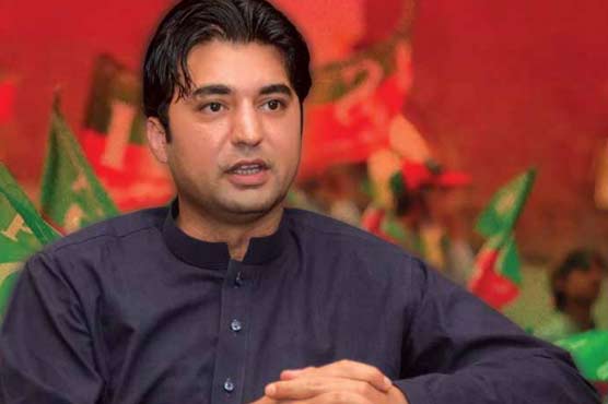 Can't tolerate offensive remarks against leader, family members: Murad Saeed