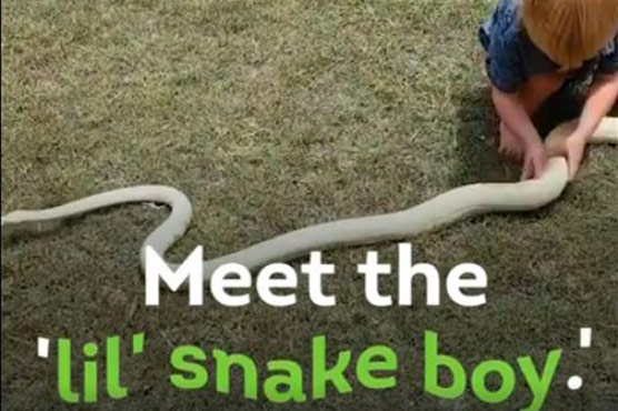 One-year-old Australian boy pets snakes