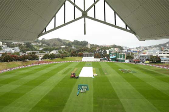 Green grass of New Zealand delights South Africa