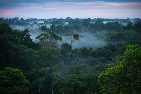 Amazon tribe has lowest heart risk ever seen: study