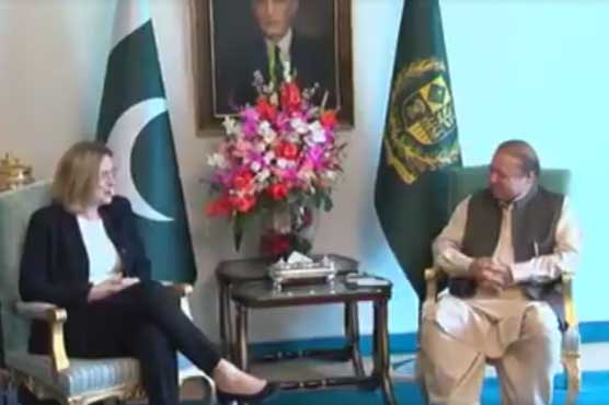UK Home Secretary calls on PM Nawaz