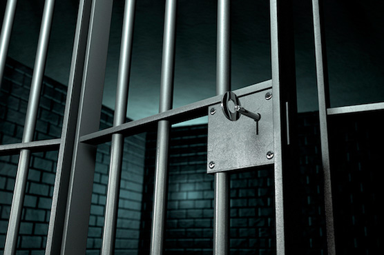 Arab Israeli woman jailed for joining IS with family