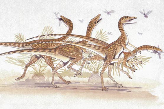 Scientists uproot dinosaur family tree
