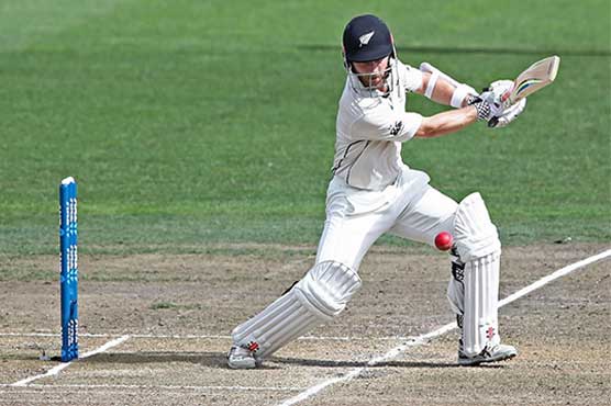 Williamson heroics leave South Africa 175 behind