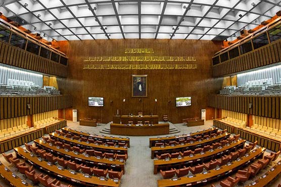 Senate adopts 28th Constitutional Amendment