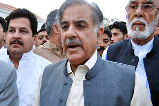 Khan only lied, spread chaos in past four years: Shehbaz Sharif