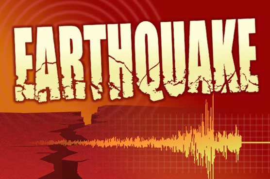 Magnitude 4.8 quake jolts part of KP