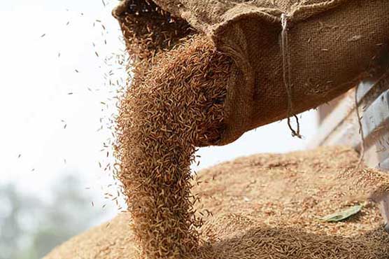 Suspects involved in illegal sale of grains arrested in Kasur