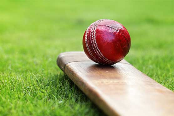 Pakistan to continue its role to promote Cricket in France