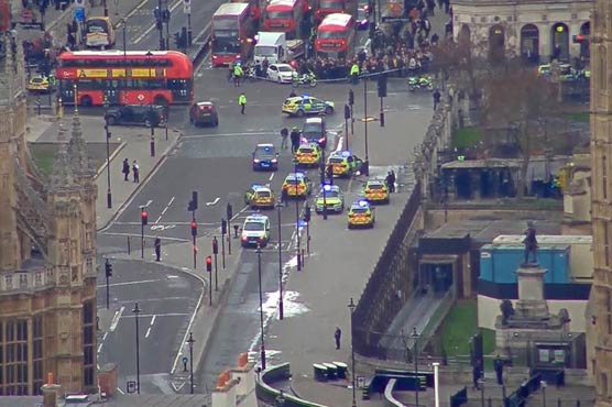 Man held near UK parliament charged with terror