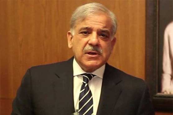 India can't digest China Pakistan Economic Corridor project: CM Shehbaz