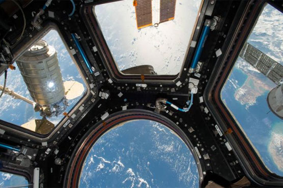 Mouse sperm survives in space, but could human babies?