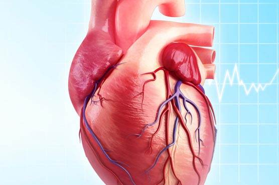 Heart patients must take precautions when fasting: Experts 