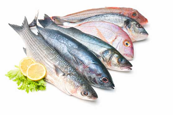 Seafood exports increase by 17.08% during 10 months
