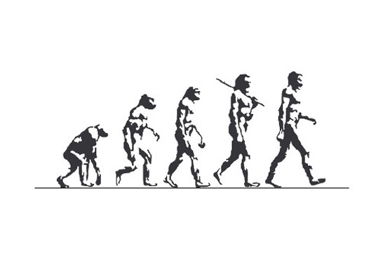 Recalling the Muslim scholars who knew evolution way before Darwin