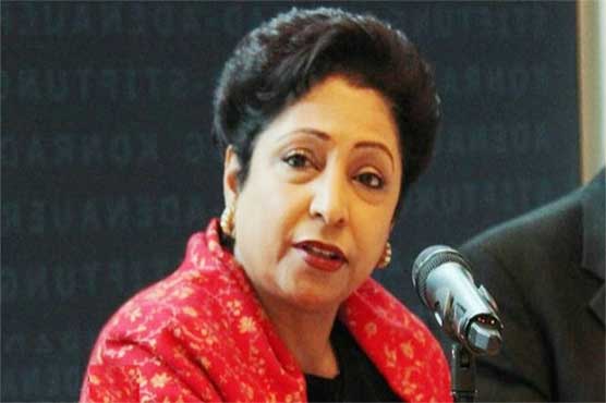Pakistan has dismantled many terror groups: Maleeha