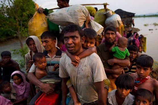 Malnutrition soaring among Rohingya children in Bangladesh: UN
