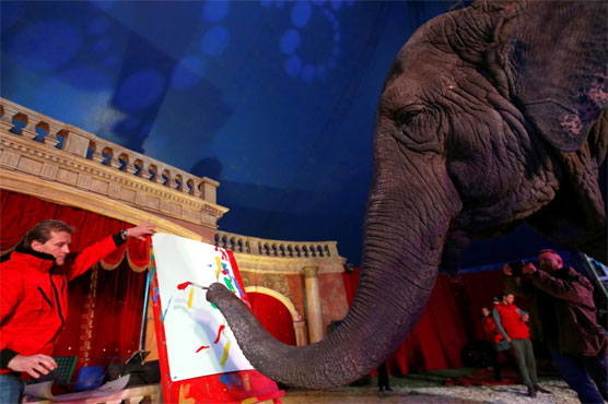 Paintings by Indian elephant auctioned off in Hungary