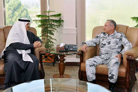 Saudi ambassador lauds Pak Navy's role in regional stability