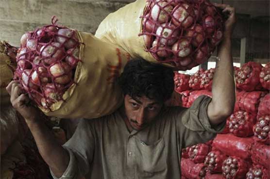 Permission to export onion to boost production, improve livelihood of farmers