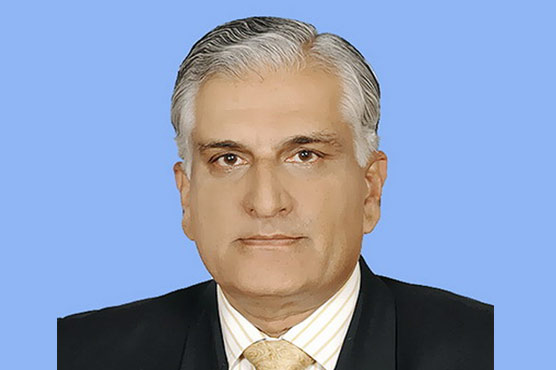 Zahid Hamid says PPP removed this very article from constitution in 1975