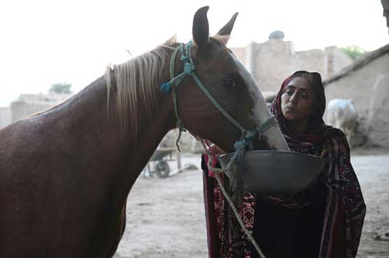 Oscars bid for story of 'Pakistan's toughest woman'
