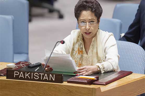 Pakistan's strong counter-measures have 'turned the tide' against terrorism: Maleeha