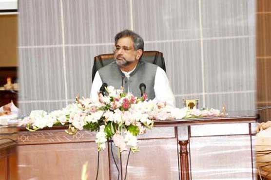 ECNEC approves Rs310 billion development projects