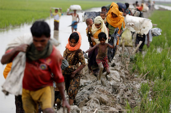 Army in 'systematic' bid to drive Rohingya from Myanmar: UN