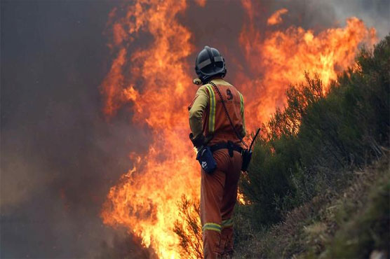 Wildfires kill 39 in Portugal and Spain