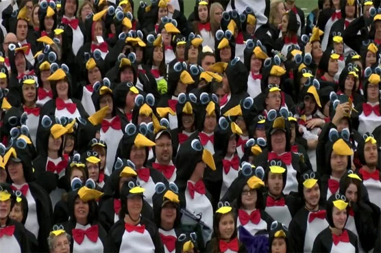 University sets record for people dressed like penguins