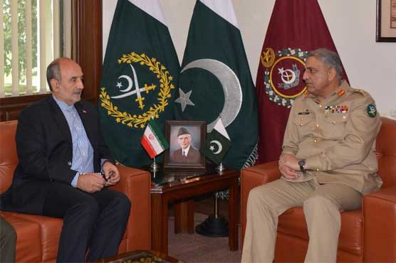 Iranian ambassador lauds Pak Army's contributions for regional stability